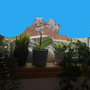 Fake plant room decore bundle!